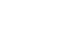 mosquito1