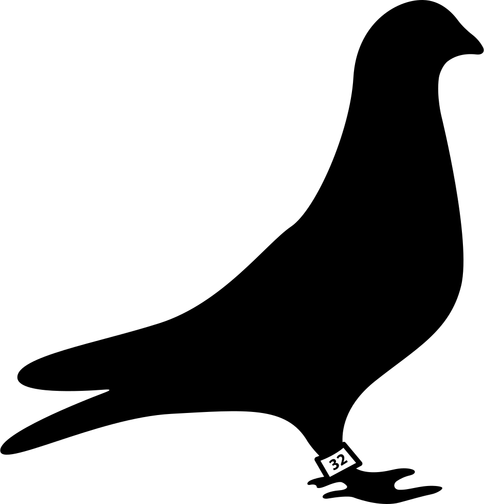 kisspng-pigeons-and-doves-homing-pigeon-bird-vector-graphi-dove-races-svg-png-icon-free-download-74419-o-5c2dfb076bc413.6823371415465172554414