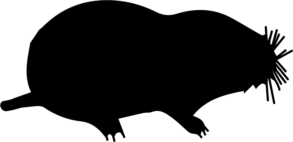 kisspng-rat-moles-shape-animal-mammal-5b2d34b61f1e11.1417077715296892701275